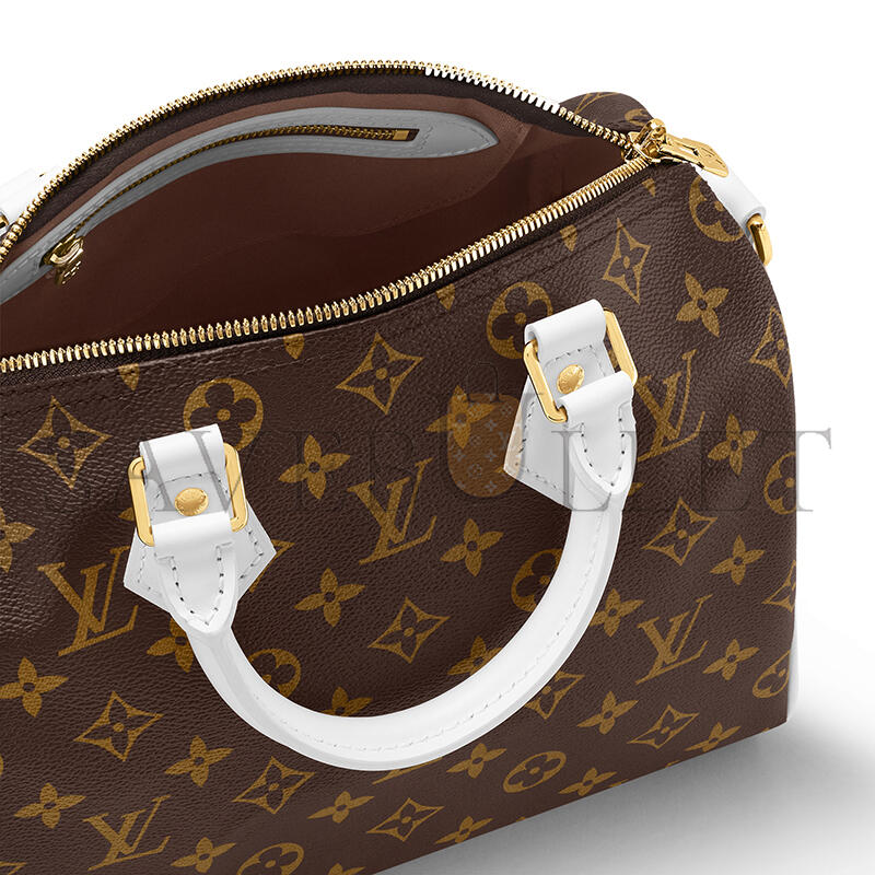 LOUIS VUITTON MASTER SPEEDY BANDOULIÈRE 25 M20754 (25*19*15cm)